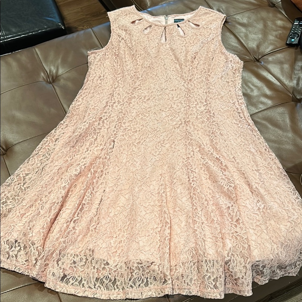 Gabby Skye Blush Pink Lace Fit & Flare Dress